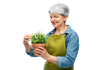 Image showing smiling senior woman in garden apron with flower