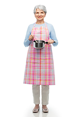 Image showing senior woman in apron with pot cooking food