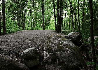 Image showing walking dirt path in the park