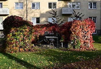 Image showing a place for a barbecue in the yard 