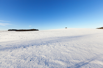 Image showing Snow drifts in winter