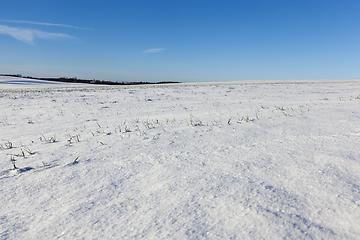 Image showing After snowfall