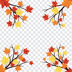 Image showing Maple leaves on transparency grid