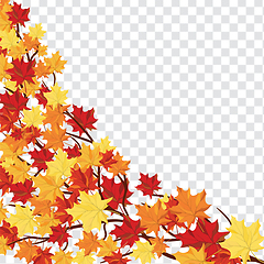 Image showing Maple leaves on transparency grid