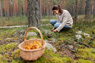 Image showing young woman picking mushrooms in autumn forest