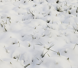 Image showing wavy snow surface closeup