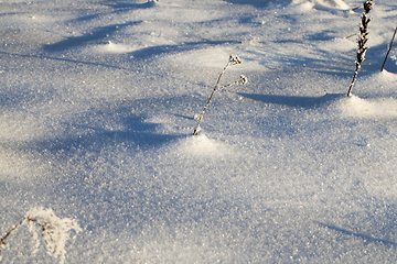 Image showing Winter time