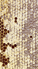 Image showing closed honeycombs