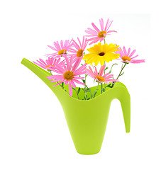 Image showing Bouquet of daisies in a watering can