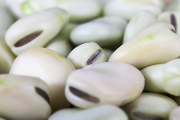 Image showing matured bean seeds