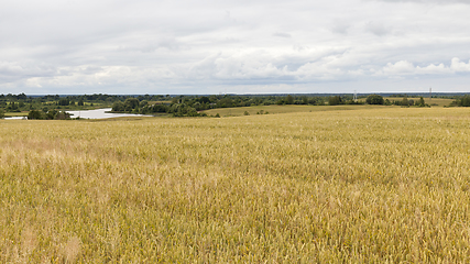 Image showing agricultural field