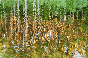 Image showing mirroring of pine trees