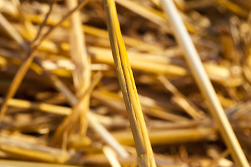 Image showing details of straw