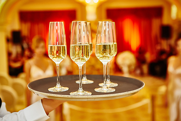 Image showing Waiter serving champagne on a tray