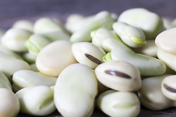 Image showing matured bean seeds