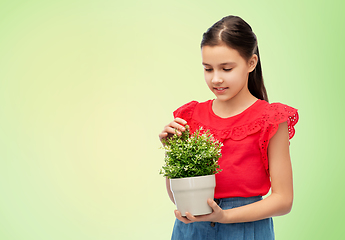 Image showing happy smiling girl holding green flower in pot