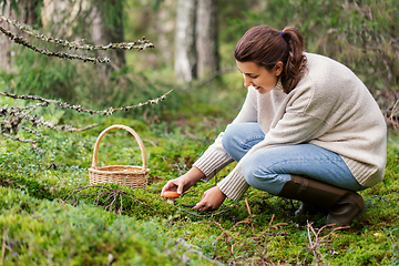 Image showing young woman picking mushrooms in autumn forest