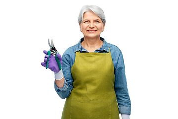 Image showing smiling senior woman in garden apron with pruner