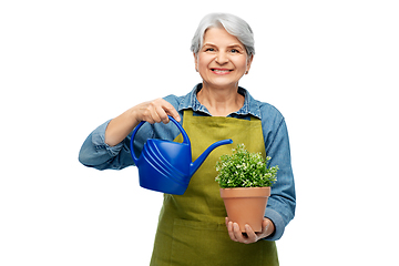 Image showing senior gardener with flower and watering can