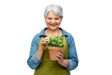 Image showing smiling senior woman in garden apron with flower