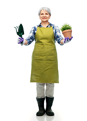 Image showing old woman in apron with flower and garden tools