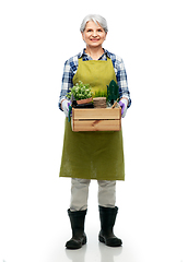 Image showing smiling senior woman with garden tools in box