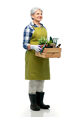 Image showing smiling senior woman with garden tools in box