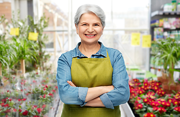 Image showing portrait of smiling senior woman at garden store