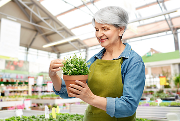 Image showing smiling senior woman with flower at garden store