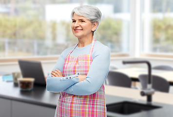 Image showing portrait of smiling senior woman in apron at home