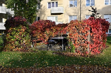 Image showing a place for a barbecue in the yard behind a green hedge