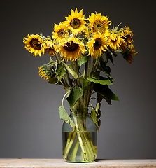 Image showing a bouquet of sunflowers in a glass jar 