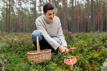 Image showing young woman picking mushrooms in autumn forest