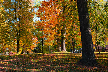 Image showing autumn in park in fall season