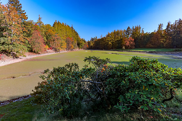 Image showing empty pond after Fish harvest