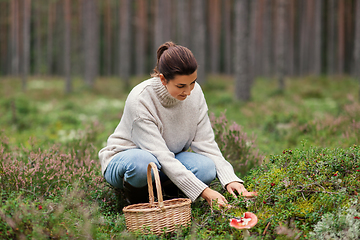 Image showing young woman picking mushrooms in autumn forest