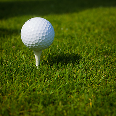 Image showing Golf ball on a tee against the golf course with copy space