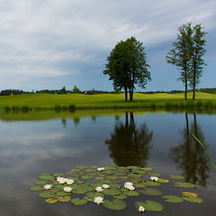 Image showing lush fairway in the foreground contrast in the distance at a gol