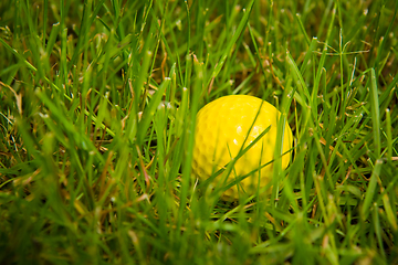 Image showing Golf ball on a tee against the golf course with copy space