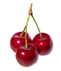 Image showing Three organic sweet cherries isolated on a white background