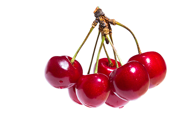Image showing Seven organic sweet cherries isolated on a white background. Clo