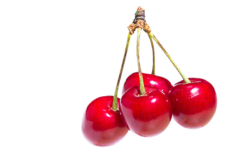 Image showing Four organic sweet cherries isolated on a white background