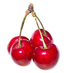 Image showing Four organic sweet cherries isolated on a white background