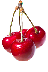 Image showing Four organic sweet cherries isolated on a white background