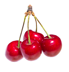 Image showing Four organic sweet cherries isolated on a white background