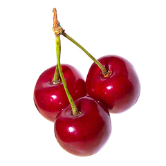 Image showing Three organic sweet cherries isolated on a white background