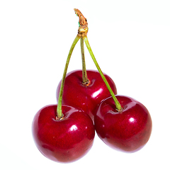 Image showing Three organic sweet cherries isolated on a white background