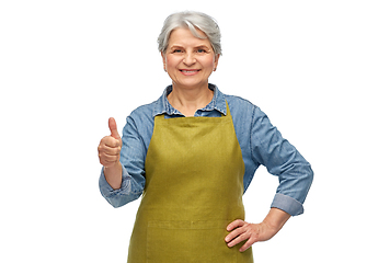 Image showing senior woman in garden apron showing thumbs up