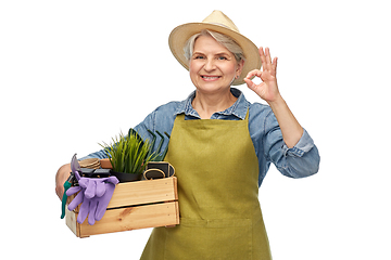 Image showing old woman with garden tools in box showing ok