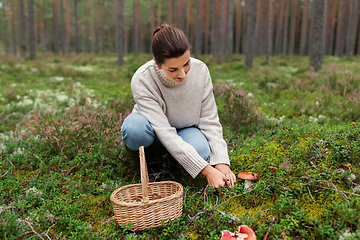Image showing young woman picking mushrooms in autumn forest